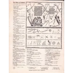 copy of Youpi (13) - La proie des cimes