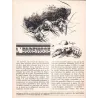 Bobo (HS) - Bobo magazine (6)