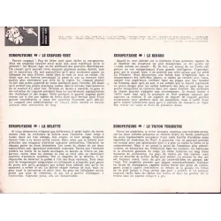 Mini Récits - La nuit du secret (2)