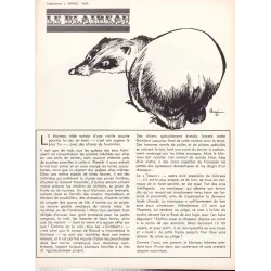 Supplément (1669) - Le blaireau