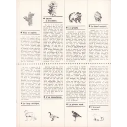 Mini récits (454) - La mission de Petit Cactus + La toundra