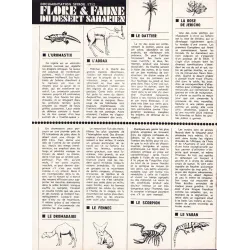 Supplément (1712) - Flore et faune du désert saharien