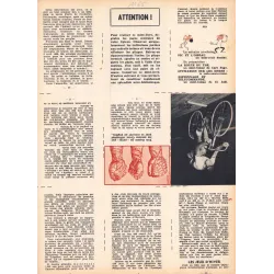 Mini récits (29) - Pour la plus grande gloire du sport