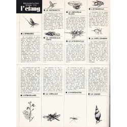 copia de Supplément (1899) - Les peuples étranges