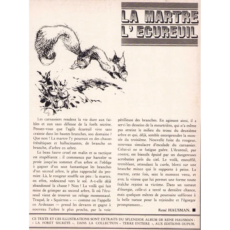 Supplément (1639) - la martre - l'écureuil