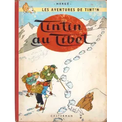 Tintin (20) - Tintin au Tibet