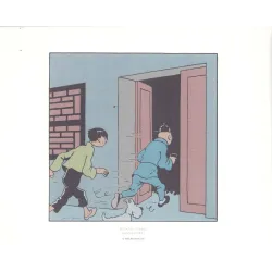 Tintin (HS) - Le lotus bleu