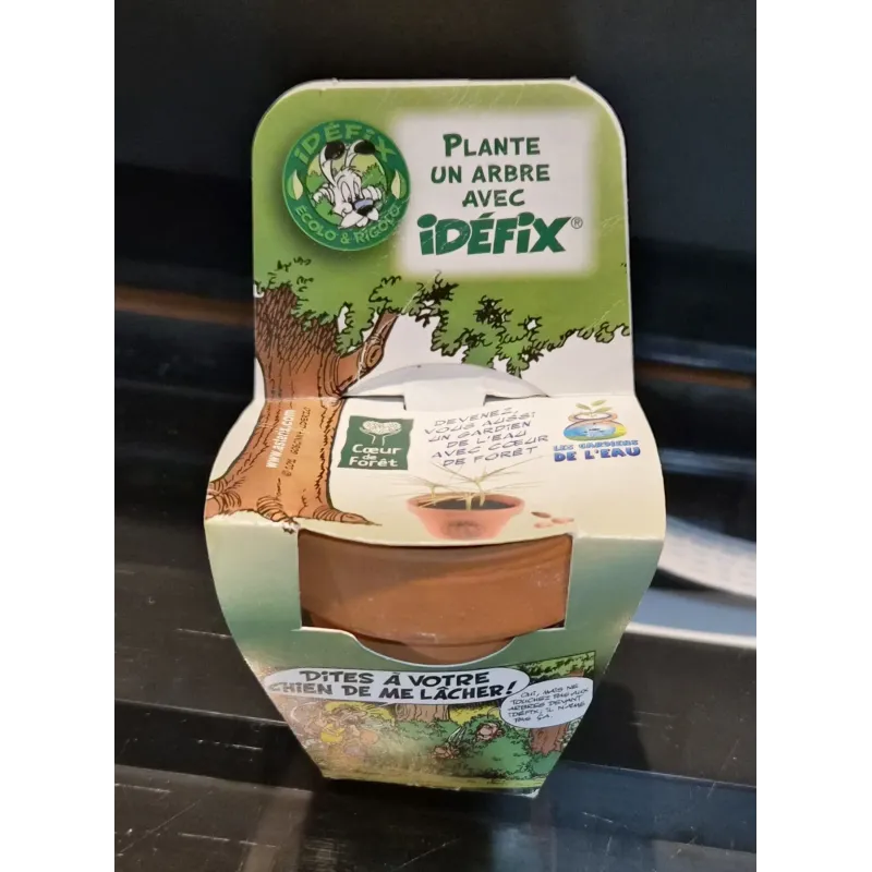 Astérix (HS) - Plante un arbre avec Idefix
