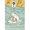 Tintin - Q8 et concours Tintin