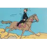 Tintin - Q8 et concours Tintin
