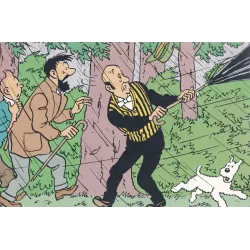 Tintin - Q8 et concours Tintin