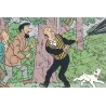 Tintin - Q8 et concours Tintin