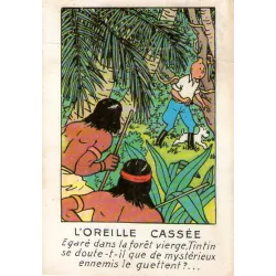 1-tintin-l-oreille-cassee