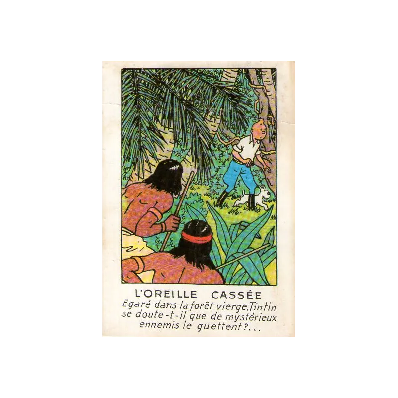 1-tintin-l-oreille-cassee