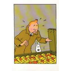 1-tintin-le-crabe-aux-pinces-d-or