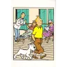 copy of Tintin (HS) - Les 7 boules de cristal