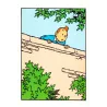 copy of Tintin (HS) - Les 7 boules de cristal