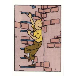 Tintin (HS) - Les cigares du pharaon