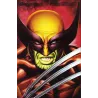 copy of Marvel Heroes (4) - Iron man - Avengers - Thundersbolts