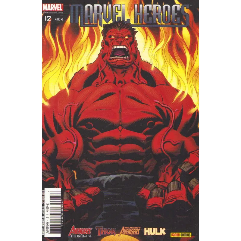 copy of Marvel Icons (48) - les 70 ans de marvel comics