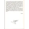 Entretien avec Comes (5) - L'autre côté du miroir