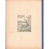 Le robinson suisse (1) - Le robinson suisse