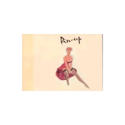 1-pin-up-hs1