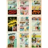1-mini-recit-124-les-pepins-de-la-peche