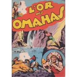 1-chott-l-or-des-omahas
