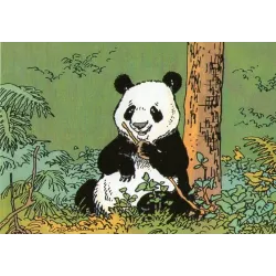 1-jeannette-pointu-panda