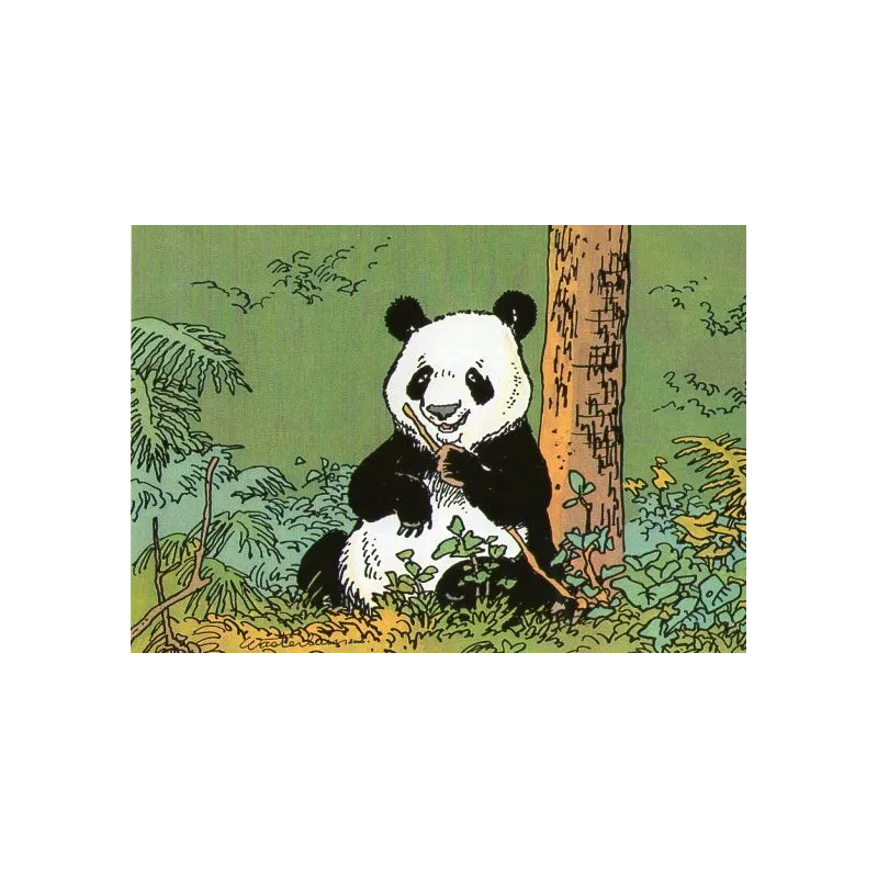 1-jeannette-pointu-panda