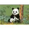 1-jeannette-pointu-panda