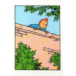 1-tintin-le-sceptre-d-ottokar