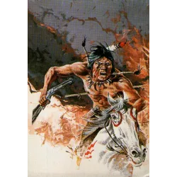 1-comanche-furie-rebelle