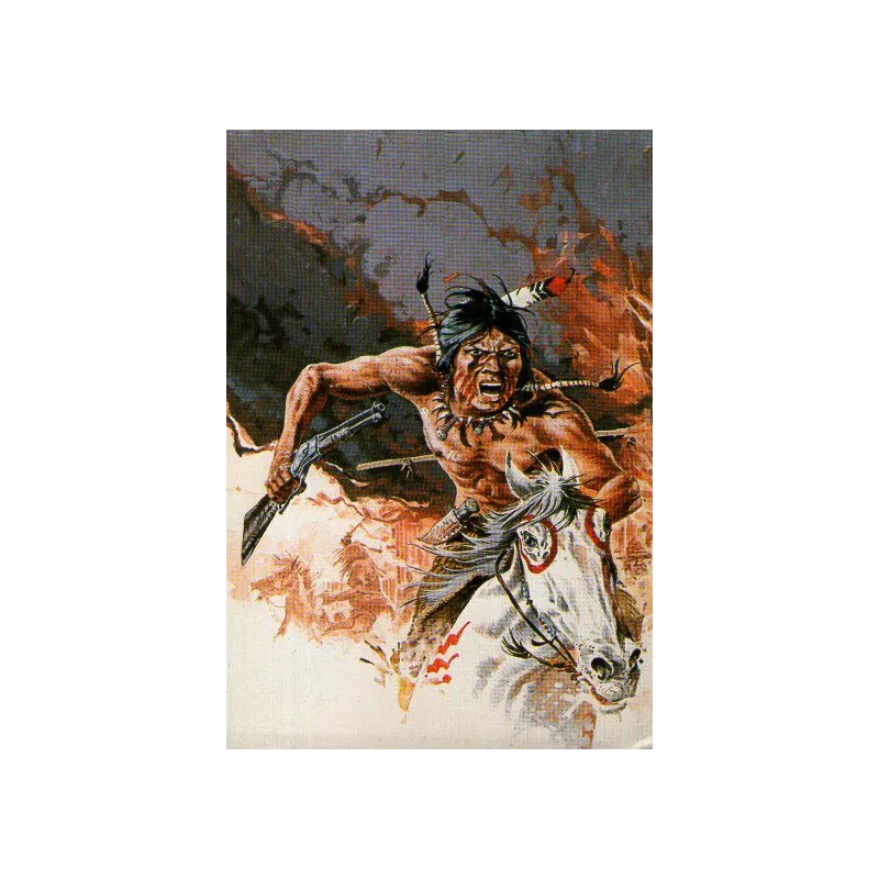 1-comanche-furie-rebelle
