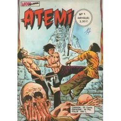 1-atemi-1