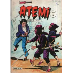 1-atemi-36