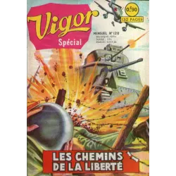 1-vigor-120