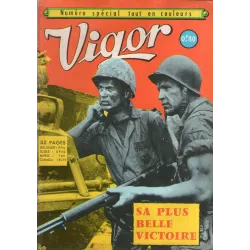 1-vigor-couleur1