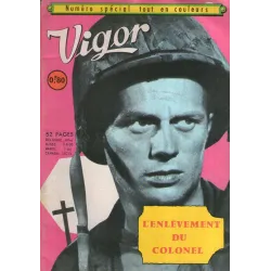 1-vigor-couleur2