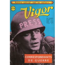 1-vigor-couleur3