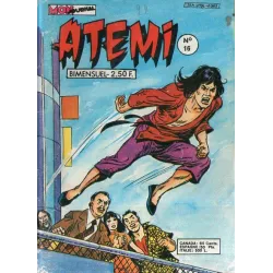 1-atemi-16