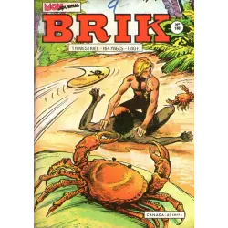1-brik-163
