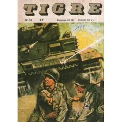 1-tigre-36