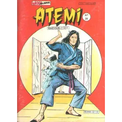 1-atemi-28
