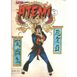 1-atemi-22