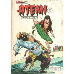 1-atemi-12