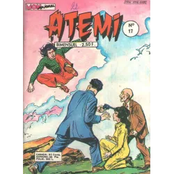 1-atemi-17
