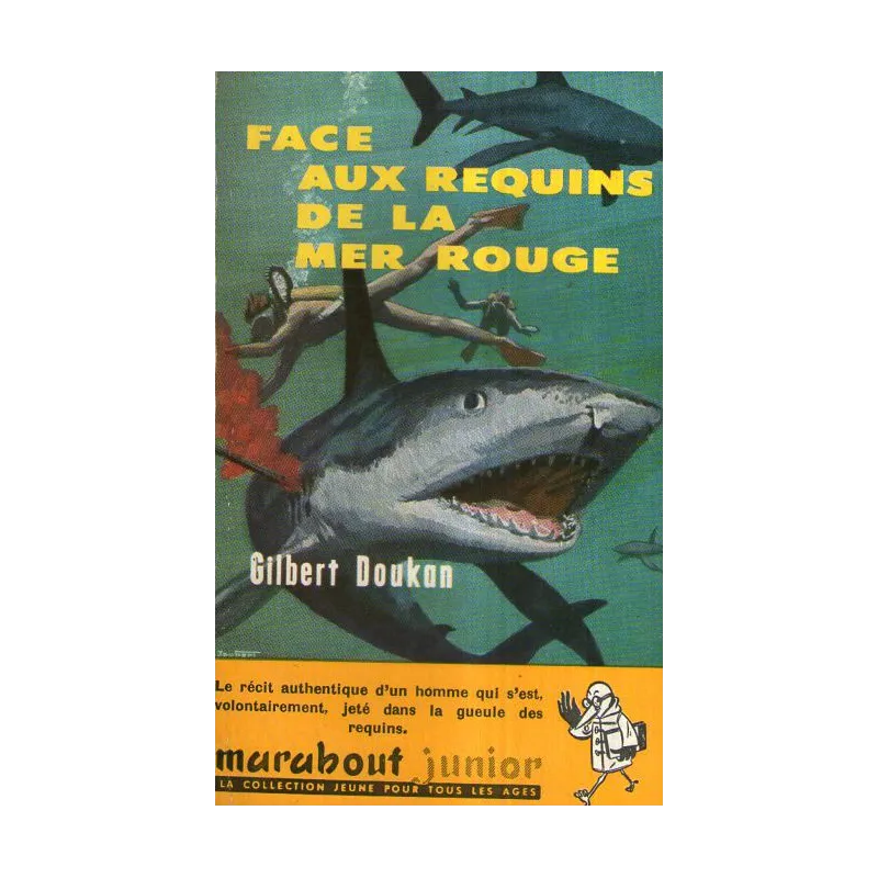 1-marabout-junior-103-face-aux-requins-de-la-mer-rouge